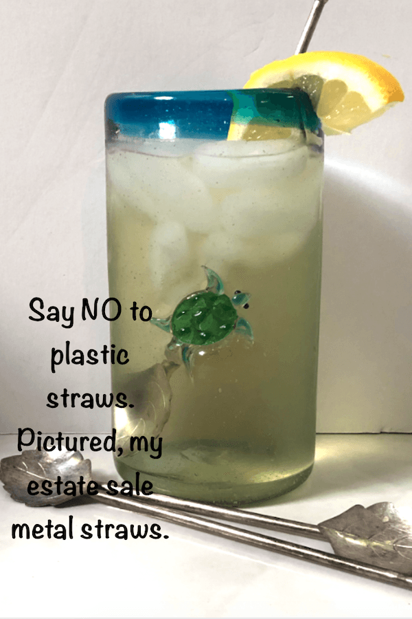 alt="Skip Plastic Straws use instead metal straws."