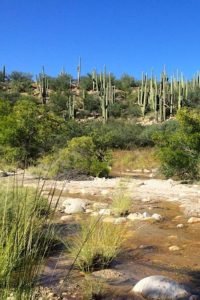 alt="Catalina State Park a vacation tip for Introverts"