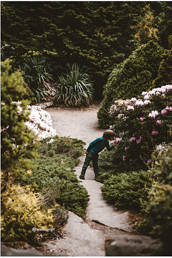alt= "Transformational travel is about taking a moment to appreciate the world around you."