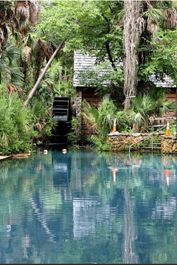 alt="Juniper Springs, Ocala, Florida."