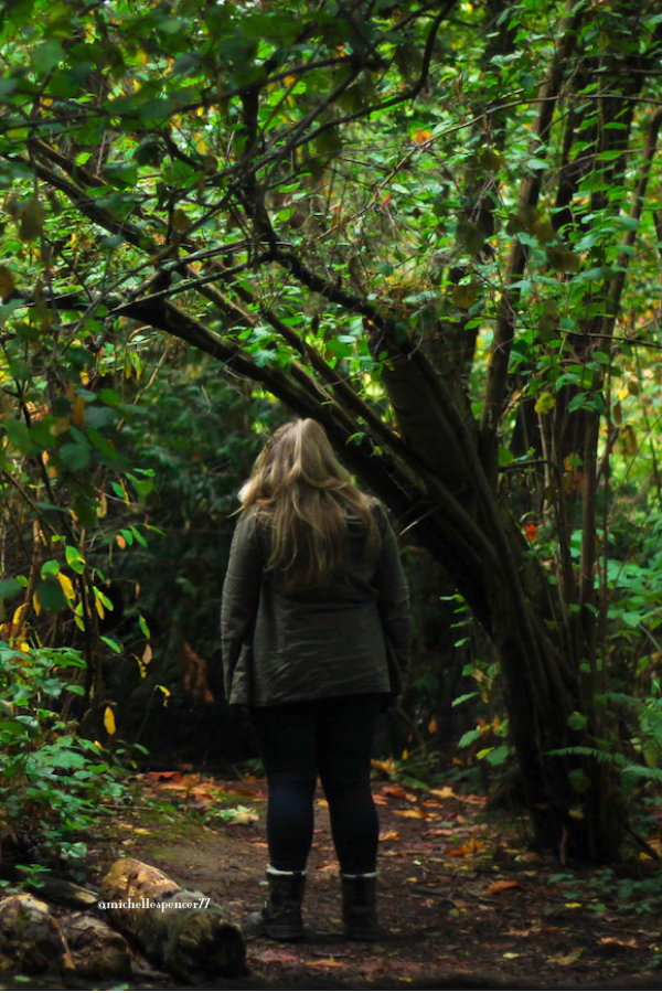 alt"Travel Tips for Introverts + Extroverts - this forested photo is for Introverts."