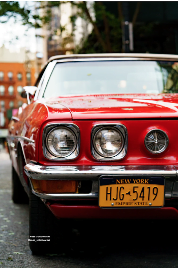 alt="Ten Ways to Travel Happy play the license game a photo of a license."