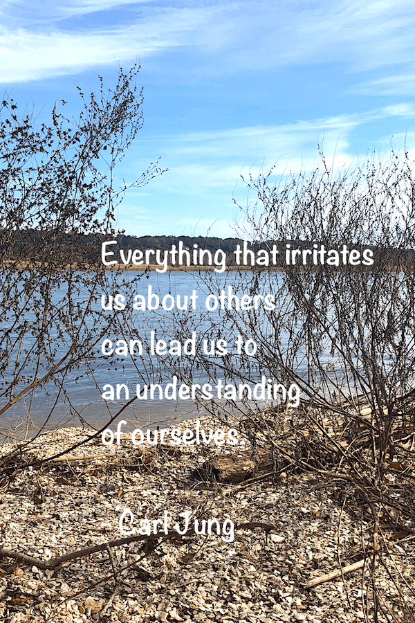 alt="Are you a thinker or a feeler, Carl Jung's photo quote everything that irritates us about others can lead us to an understanding of ourselves."