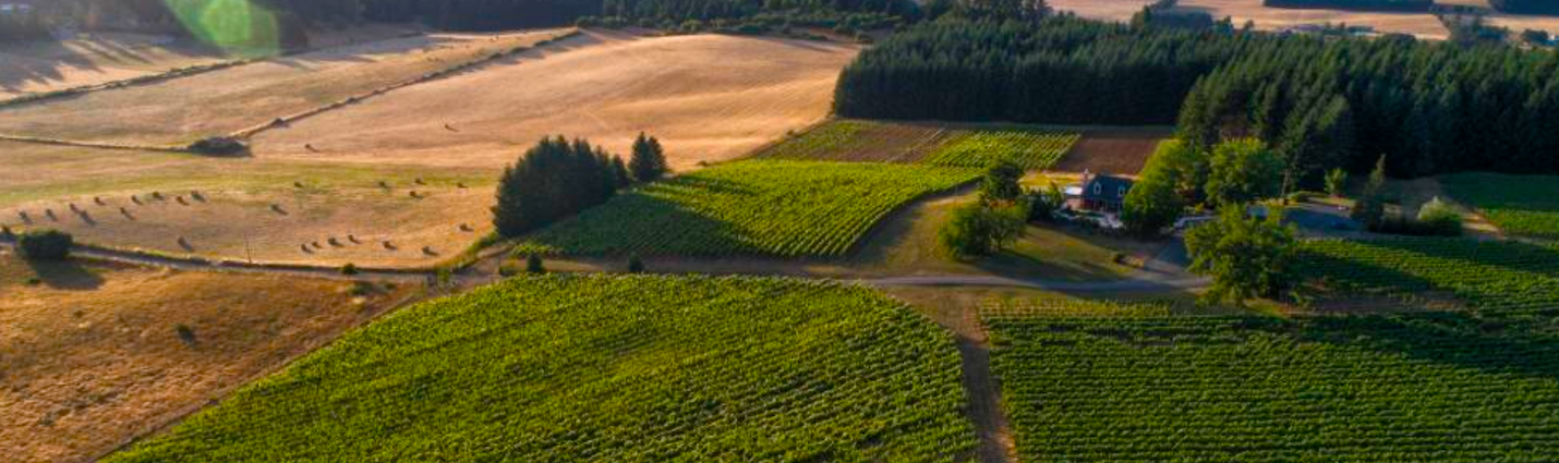 alt="Eugene Oregon Wine Country."
